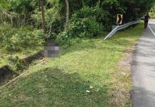 தலையில்லா உடல்; தனித்து வாழும் தாயான பெல்லா அல்ல; போலீசார் தகவல்