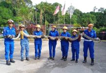 4 மீட்டர் நீளமும் 100 கிலோ எடை கொண்ட மலைப்பாம்பு பிடிப்பட்டது