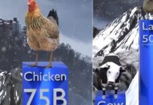 அடேங்கப்பா.. ஒவ்வொரு ஆண்டும் இவ்வளவு விலங்குகளை மனிதர்கள் சாப்பிடுகிறார்களா..?