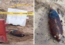 விமானத் தள கட்டுமானப் பகுதியில் 125 கிலோ வெடிகுண்டு கண்டெடுப்பு