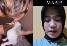 Remaja paksa kucing merokok dikecam hebat netizen