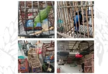 Polis rampas barangan bernilai RM21.9j