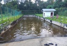 இராணுவ பயிற்சி முகாமிலுள்ள குளத்தில் மூழ்கி மூன்று சிறுவர்கள் பலி