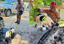 பெருவாஸ் எம்.பி.யின் வீடு மற்றும் காரிற்கு பெட்ரோல் குண்டுவீசி எரிக்கப்பட்ட சம்பவம் தொடர்பில் ஒருவர் கைது