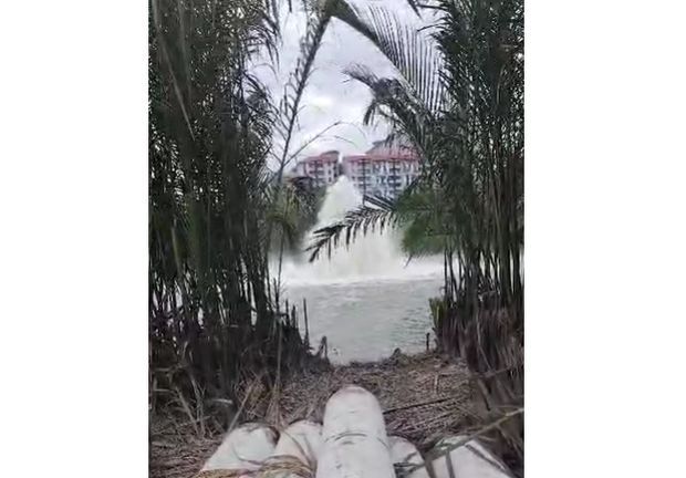 pirai river