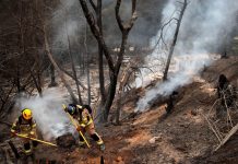 சிலி காட்டுத்தீயில் பலியானோர் எண்ணிக்கை 112 ஆக உயர்வு!