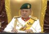 Ahli Parlimen yang melampaui batas -gantung 14 hari! Agong tegaskan