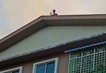 48 jam di atas bumbung flat
