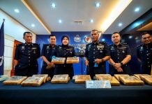 20 கிலோ கஞ்சா கடத்தல் முறியடிப்பு; இருவர் கைது