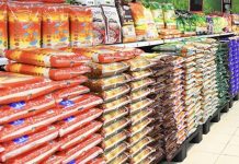 Harga beras putih import akan turun