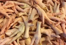 Seludup kaki ayam berharga RM80,000 Wanita ditahan