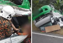 சுற்றுலா வேன்- லோரி விபத்து: டிரெய்லர் ஓட்டுநர் கைது