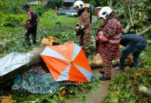 கெடாவில் மரம் விழுந்ததில் மாது மரணம்!