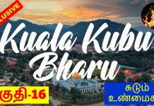 கோல குபு பாரு இடைத் தேர்தல்: ‘இந்தியர்களே கிங்மேக்கர்ஸ்’