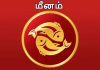 மீனம் -இனி எல்லாமே வசந்தம்தான்