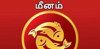 மீனம் -இனி எல்லாமே வசந்தம்தான்