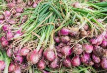 Tuaian bawang Malaysia 2.3 tan