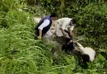Pukul pemandu langgar orang, 4 warga asing ditahan
