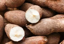 அரிசி தட்டுப்பாடு – மாற்றாக மரவளக்கிழங்கை உபயோகிப்பீர்: சபாநாயகர் அறிவுறுத்தல்