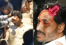 முதல்வர் ஜெகன்மோகன் ரெட்டி மீது தாக்குதல்.. தேர்தல் பரப்புரையில் பரபரப்பு