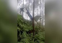 Pesawat ringan terhempas
