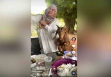 Kambing tetamu tidak diundang sertai perkelahan