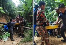 காணாமல் போன வாலிபர் ப்ரோகா ஹில்லில் இறந்து கிடக்க கண்டெடுப்பு