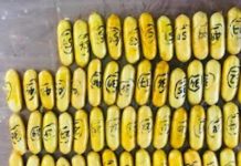 சினிமாவை போன்ற சம்பவம்: போதைப்பொருளை விழுங்கி மலேசியா வந்து பிடிப்பட்ட பெரு நாட்டவர்