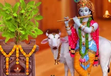 துளசி மாலை அணிவது ஏன்?