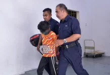 பூனைக்குட்டிக்கு தீ வைத்ததை ஒப்புக் கொண்ட 13 வயது சிறுவன்