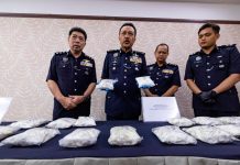 110,000 ரிங்கிட் மதிப்பிலான போதைப்பொருளுடன் வெளிநாட்டு ஆடவர் கைது
