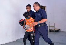 பூனைக்குட்டியை தீ வைத்து எரித்த 13 வயது சிறுவனை சீர்திருத்த பள்ளிக்கு அனுப்புமாறு நீதிமன்றம் உத்தரவு