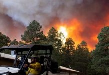 மெக்சிக்கோவில் பயங்கர காட்டுத் தீ: அவசரநிலை அறிவிப்பு ;1,400 கட்டிடங்கள் நாசம்