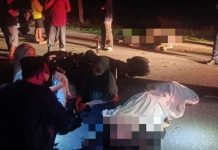 ஜோகூரிலிருந்து சிங்கப்பூருக்கு வேலைக்கு சென்ற ஆடவரின் மோட்டார் சைக்கிள் எருமை மாட்டில் மோதியதில் உயிரிழப்பு