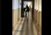 Lelaki pukul isteri di hotel – Polis siasat