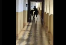 Lelaki pukul isteri di hotel – Polis siasat