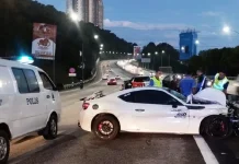 Pemandu maut langgar lembu di lebuh raya