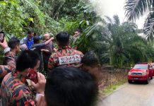 Nenek, cucu hilang di Bukit Buluh Telur