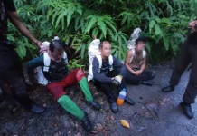 Bunuh, lapah, jual tulang Pak Belang!
