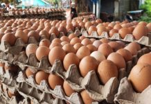 Telur semua gred turun 3 sen