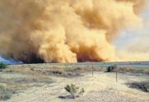 வட மாநிலங்களில் புழுதிப் புயல்களைத் தூண்டும் கடுமையான வெப்ப அலை