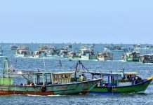 இந்தாண்டு 250 மீனவர்கள் இலங்கை கடற்படையினரால் கைது: முதல்வர் ஸ்டாலின் கவலை
