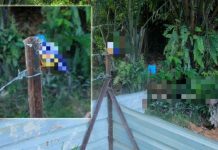 விஷம் கலந்த கெரோப்போக் சாப்பிட்ட இரு சகோதரர்கள் கவலைக்கிடம்