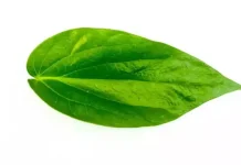 வெற்றிலை மாலை சாற்றினால் இத்தனை நன்மைகள் கிடைக்குமா ?