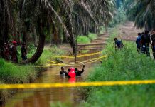 ஃபரா கர்தினி கொலை விசாரணை – ஆதாரங்களைத் தேடும் காவல்துறை