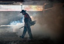 ME49ஆவது வாரத்தில் 1,342 டிங்கி வழக்குகள் பதிவு: இருவர் மரணம்