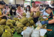 சீனாவில் விலையில் கிராக்கி காட்டும் மலேசியன் டுரியான்; பழம் ஒன்று 350 ரிங்கிட்டுக்கு விற்பனை