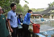 ஜோகூரில் விவசாயத் துறையில் மறுமலர்ச்சி