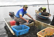 விவசாயம், மீன் வளர்ப்பு வட்டாரப் பொருளாதார வளர்ச்சிக்கு உதவுகிறது