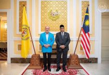 Agong berkenan terima menghadap KSN baharu
